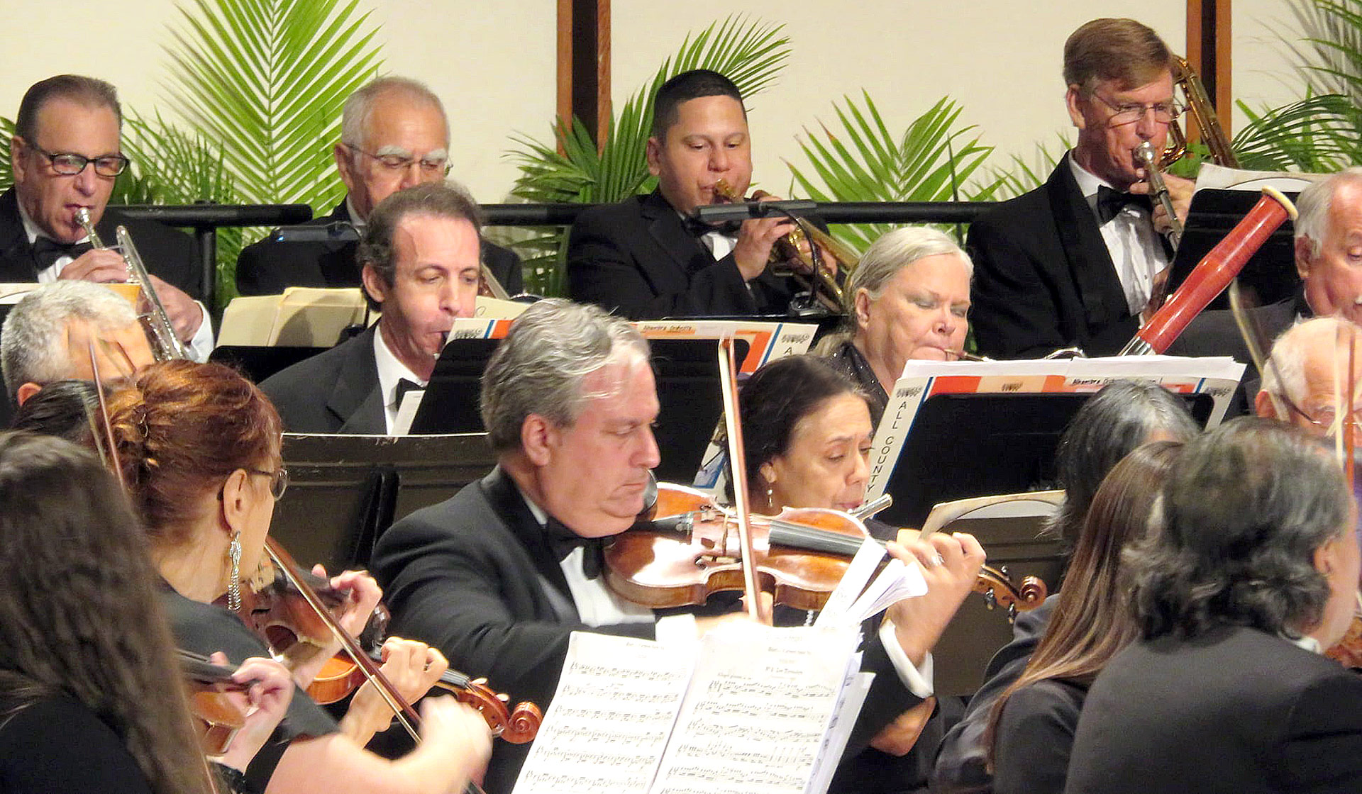 The Alhambra Orchestra In Concert At The Wertheim Performing Arts Center