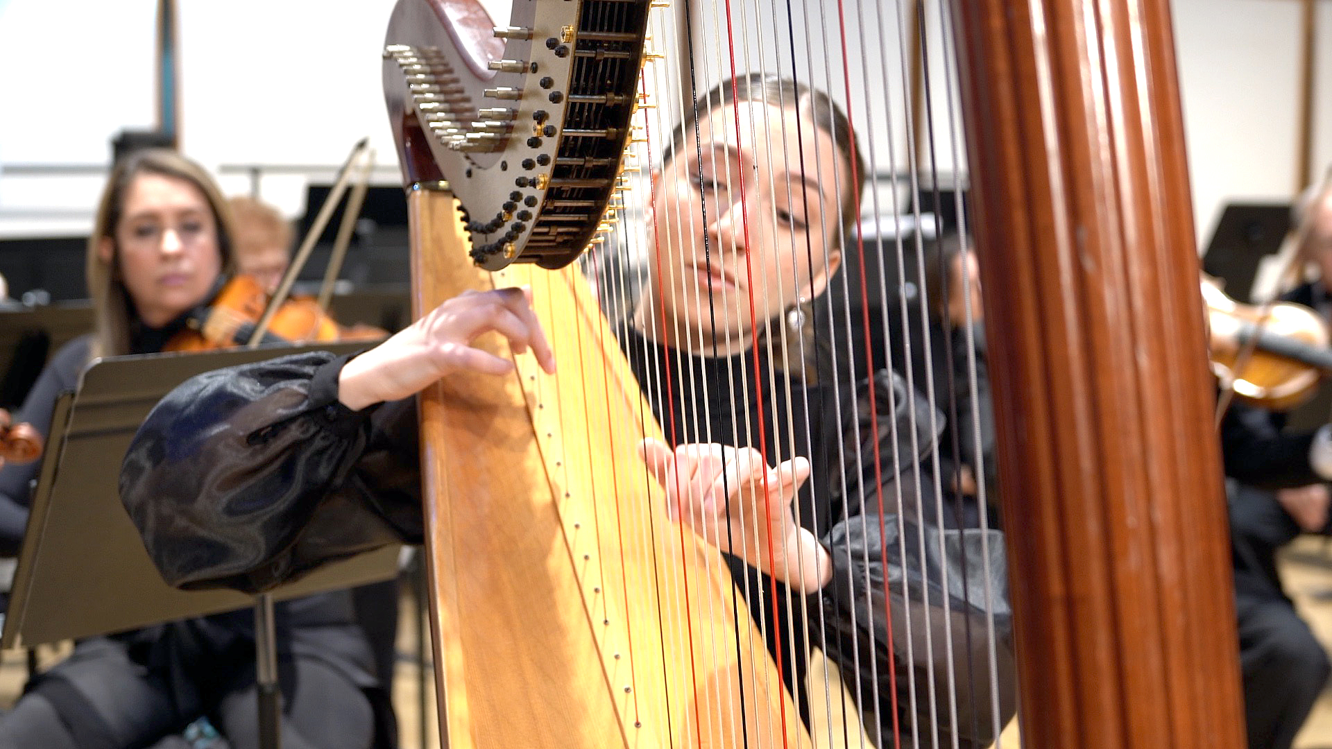 Harp Soloist